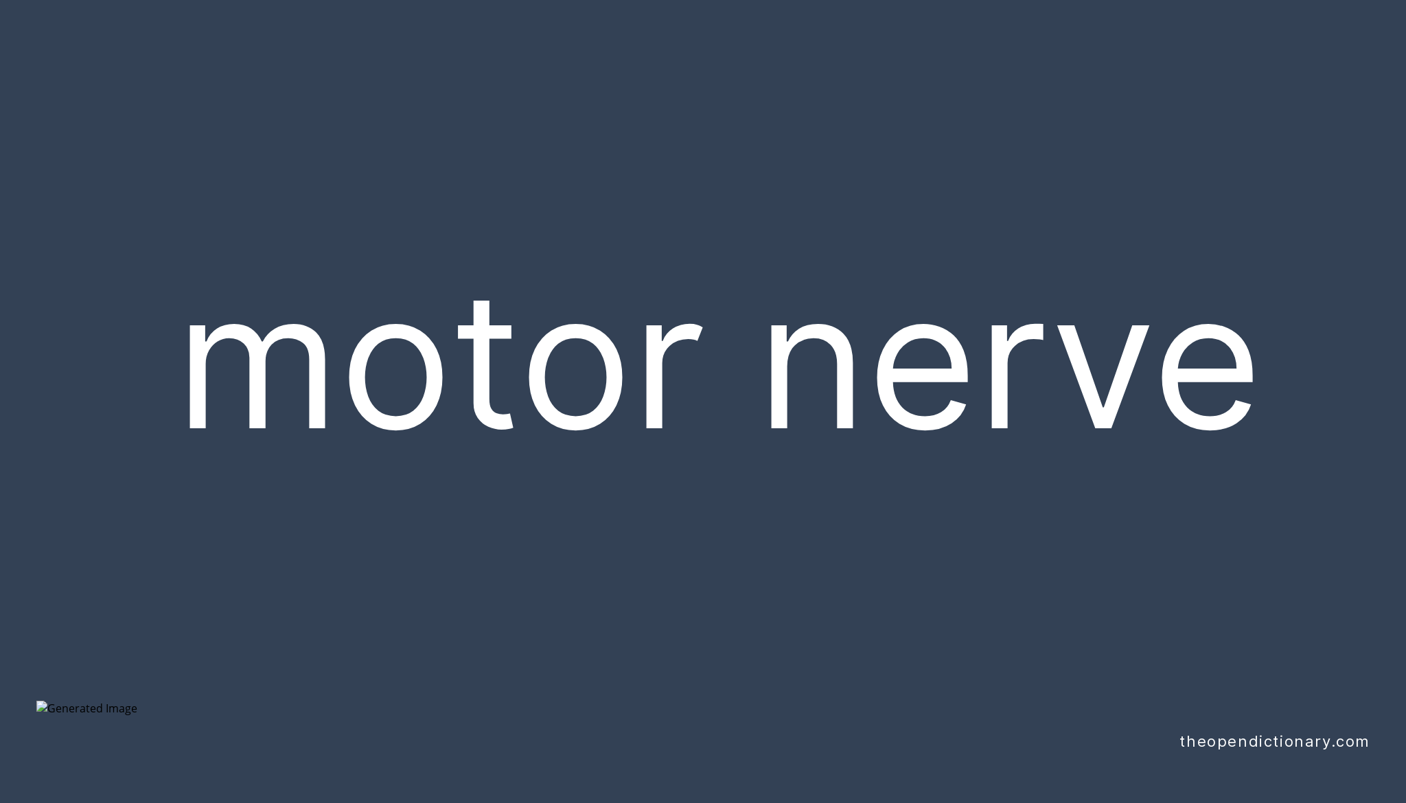 Motor nerve Meaning of Motor nerve Definition of Motor nerve